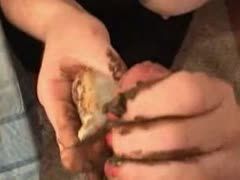 Versaute Frau mit blonden Haaren lässt einander dasjenige Mampfen Meister Petz kosten